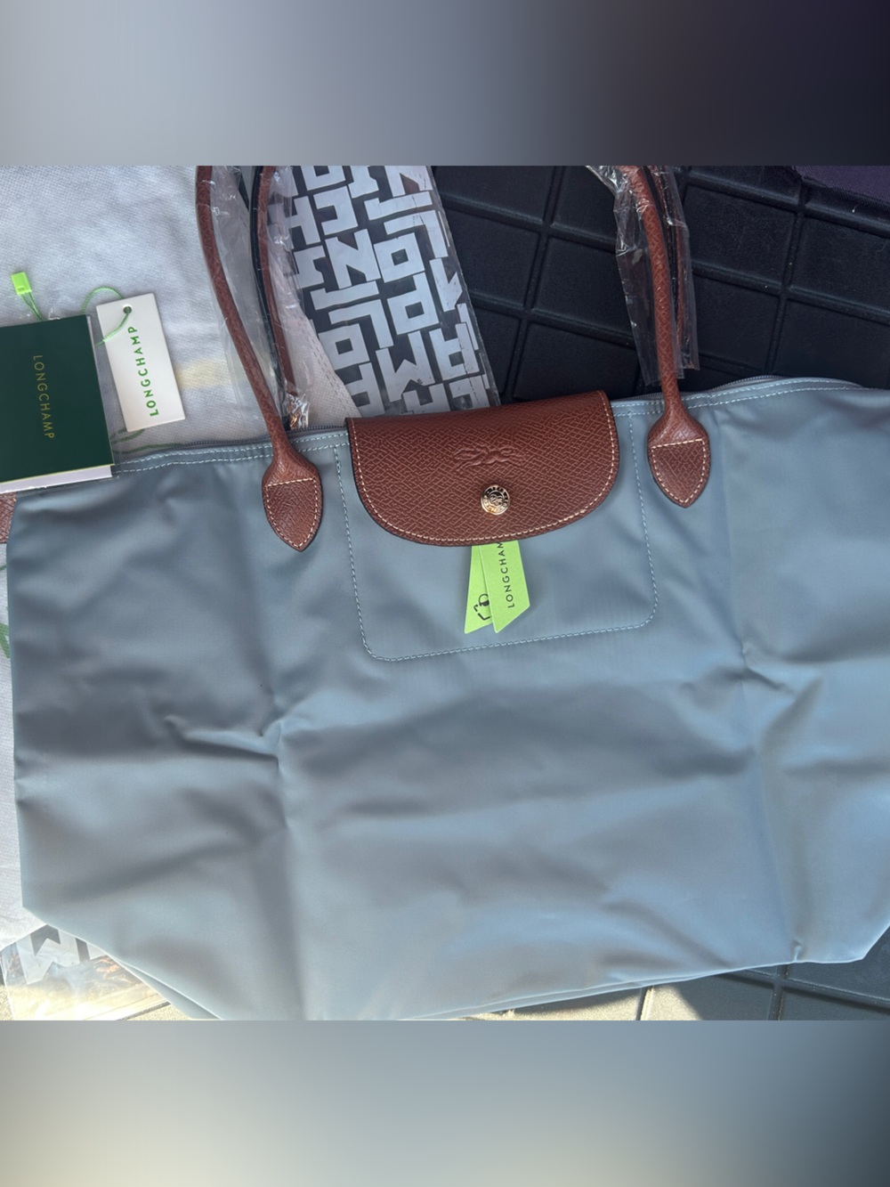 Longchamp Medium Grey Shoulder Bag